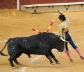 Las corridas de toros
